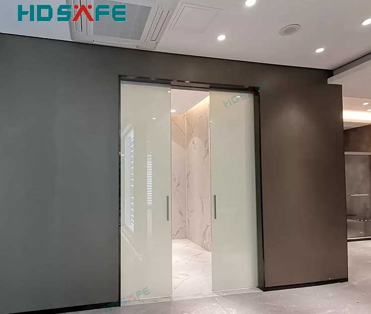 Frameless Glass Pocket Door 