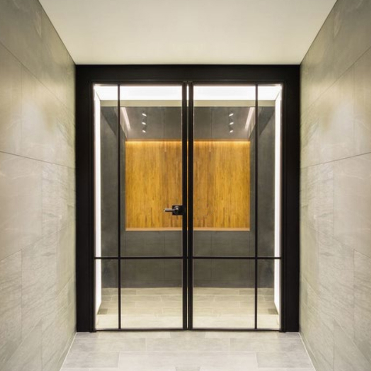 Hidden Hinge Interior Swing Door