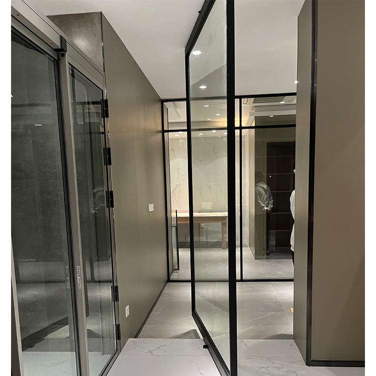 HDSAFE Swing Glass Door Aluminum Slim Frame Glass Door Exterior Interior Modern Glass Pivot Doors