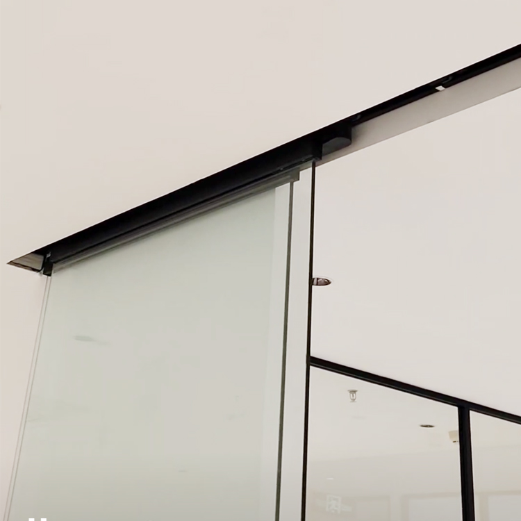  Tempered Frameless Glass Door