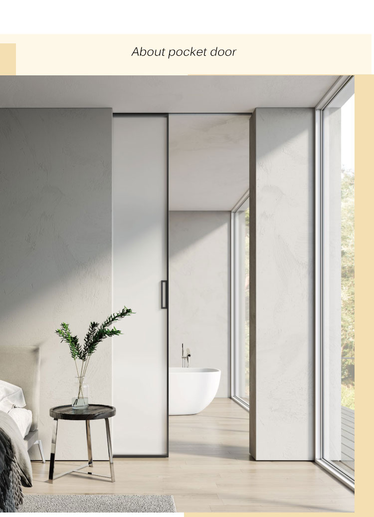 Interior Sliding Pocket Door