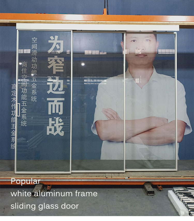  White Frame Glass Door 