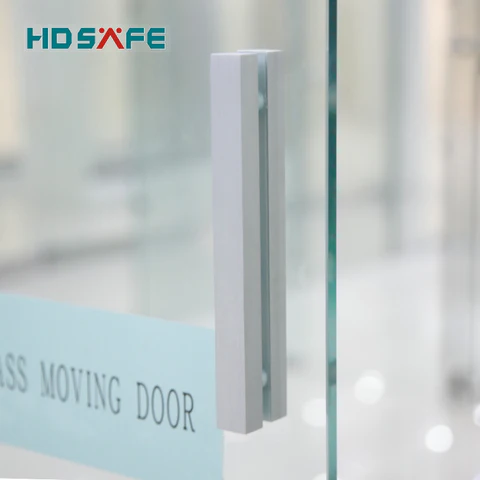 Frameless Glass Partition Door​ Seamless Space, Modern Style