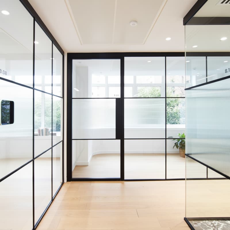 Glass Swing Doors